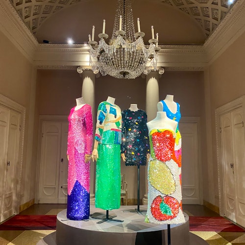 Palazzo Pitti & Palatine Gallery: Reserved Entrance + Audio Guide — gallery 3