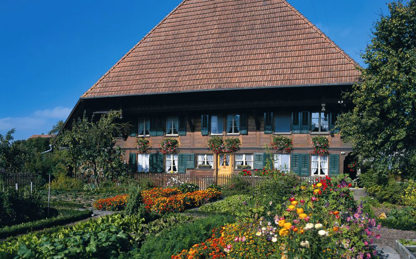Full-Day Guided Tour of Bern from Zürich with Biscuit & Cheese Tasting — gallery 1