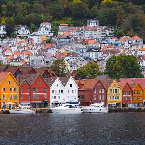Bergen: Full-Day Fjord Cruise, Historic City Tour, & Fløien Funicular — gallery 2