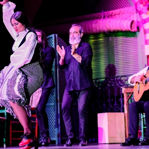 El Palacio Andaluz Sevilla Flamenco Show + Glass of Cava or Dinner — gallery 2