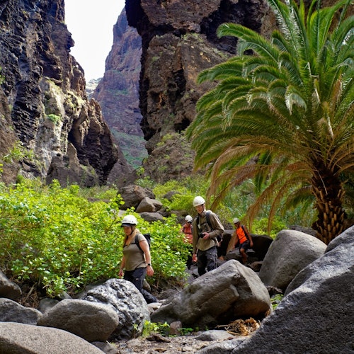 Masca Ravine: Guided Descent + Boat Ride + Transfer