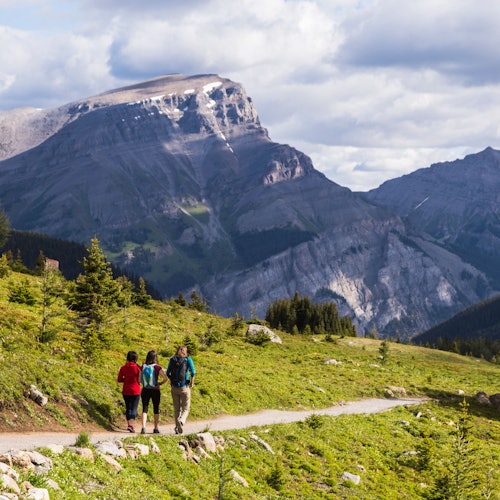 Banff Sunshine Village: Entry Ticket + Gondola & Chairlift Access