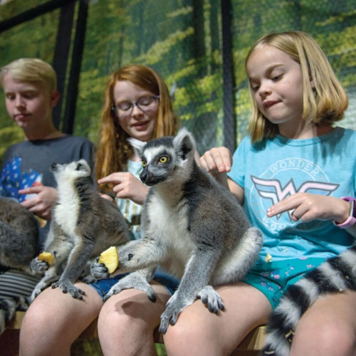 Houston Interactive Aquarium & Animal Preserve — gallery 2