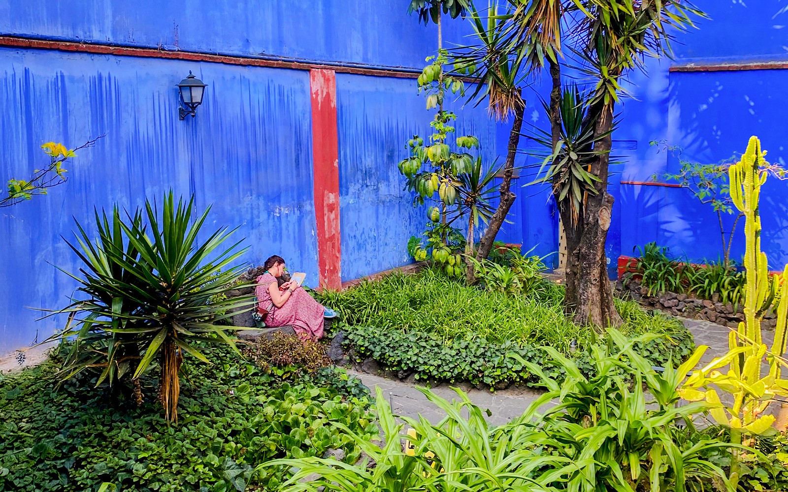 Frida Kahlo & Anahuacalli Museum Skip-the-Line Tickets