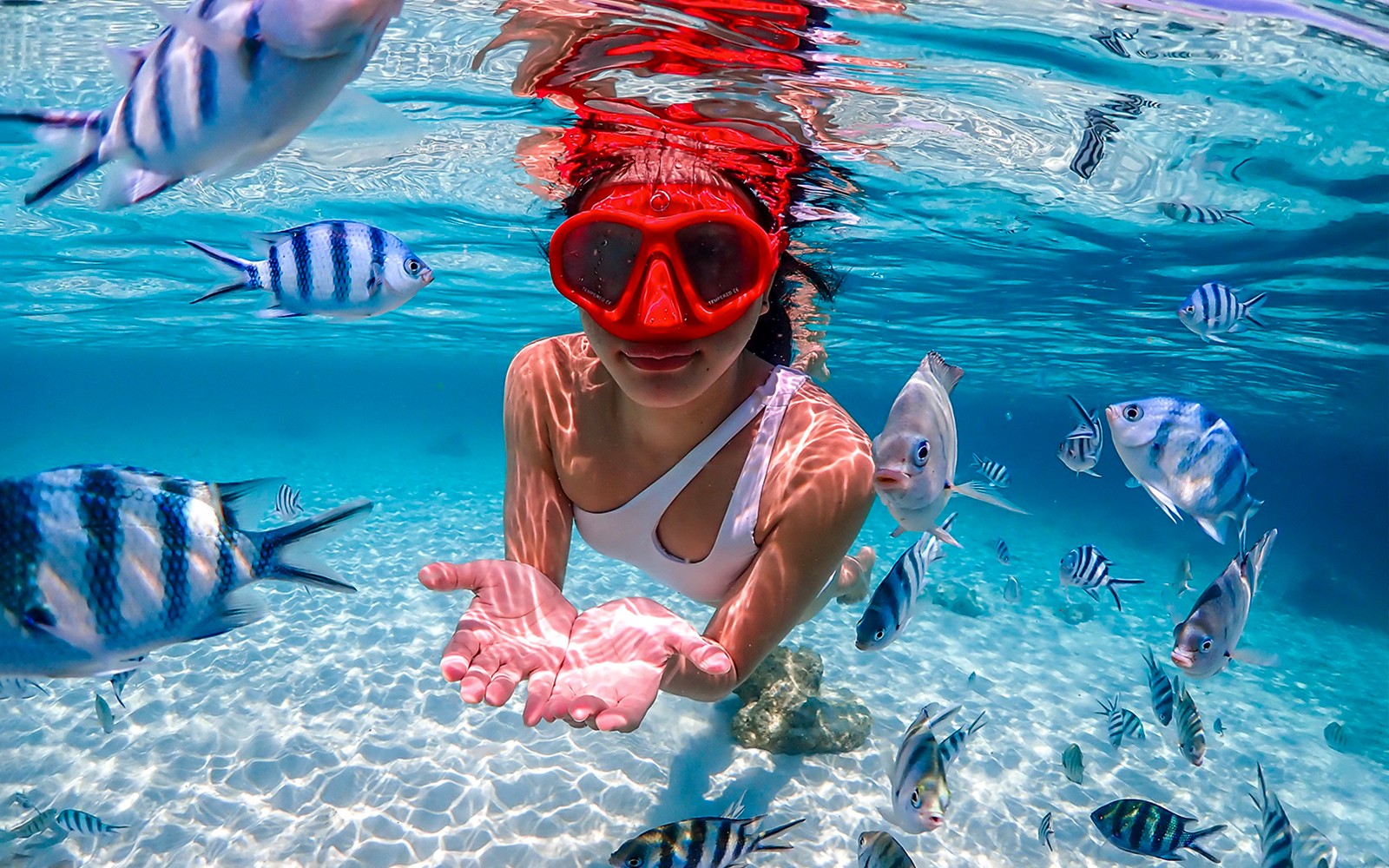 From Pattaya: Nemo Island Guided Trip with Lunch & Drone Photos — gallery 1