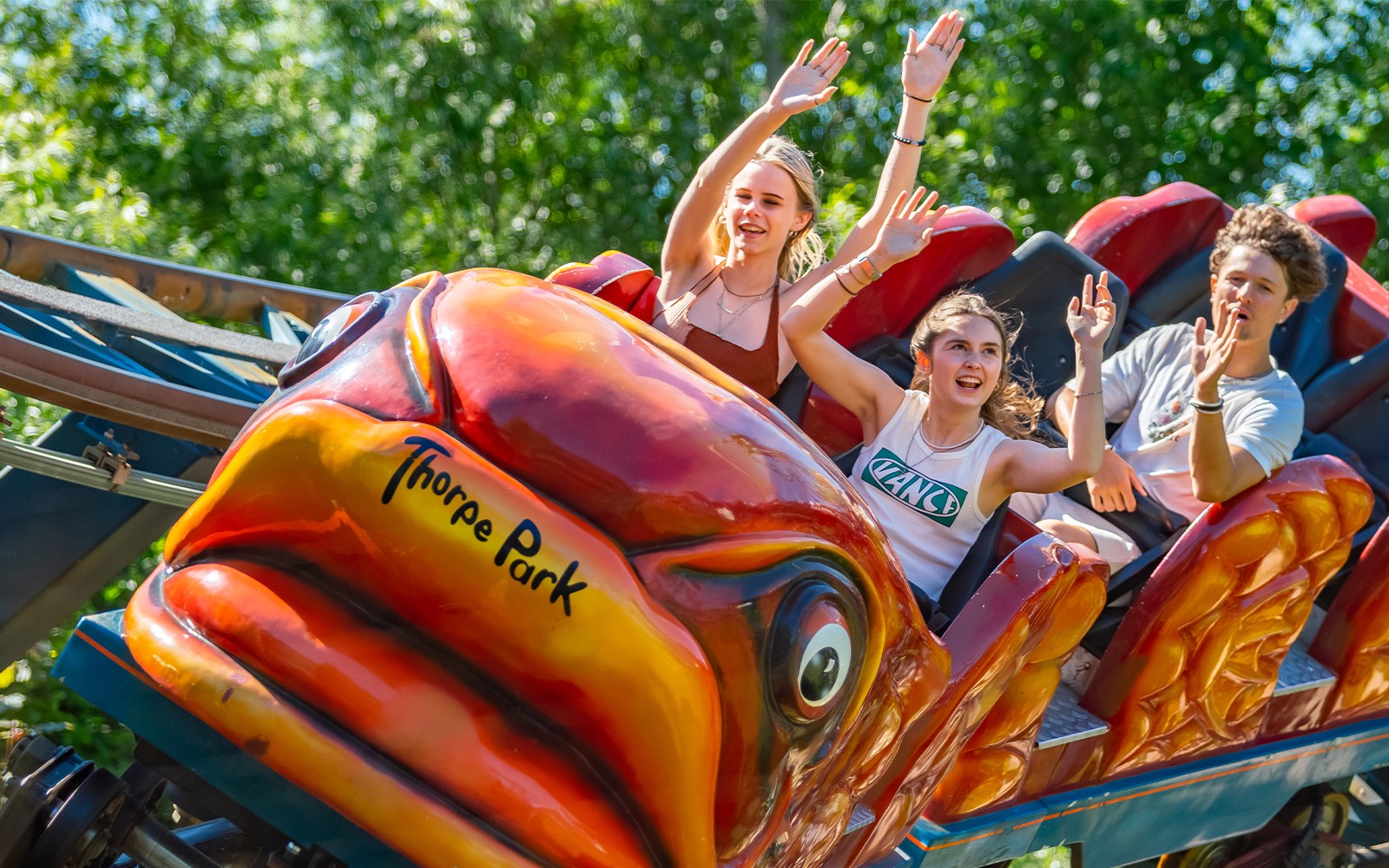 Thorpe Park Entry Tickets — main image