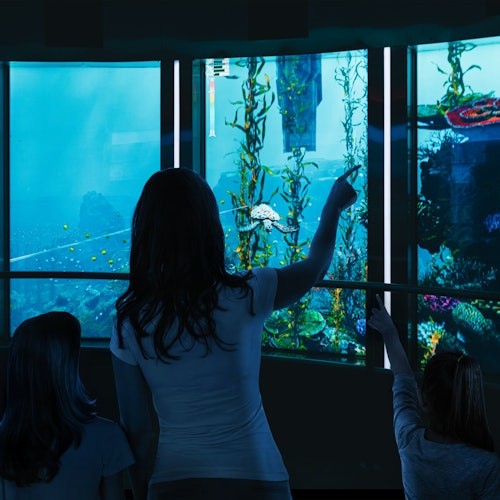 XPERIA - Ocean Journey: Entry Ticket — gallery 4