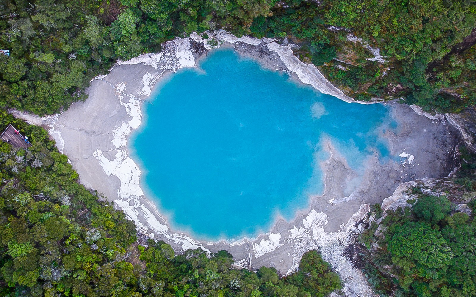 85 Mins White Island and Mount Tarawera Floatplane Tour — gallery 4