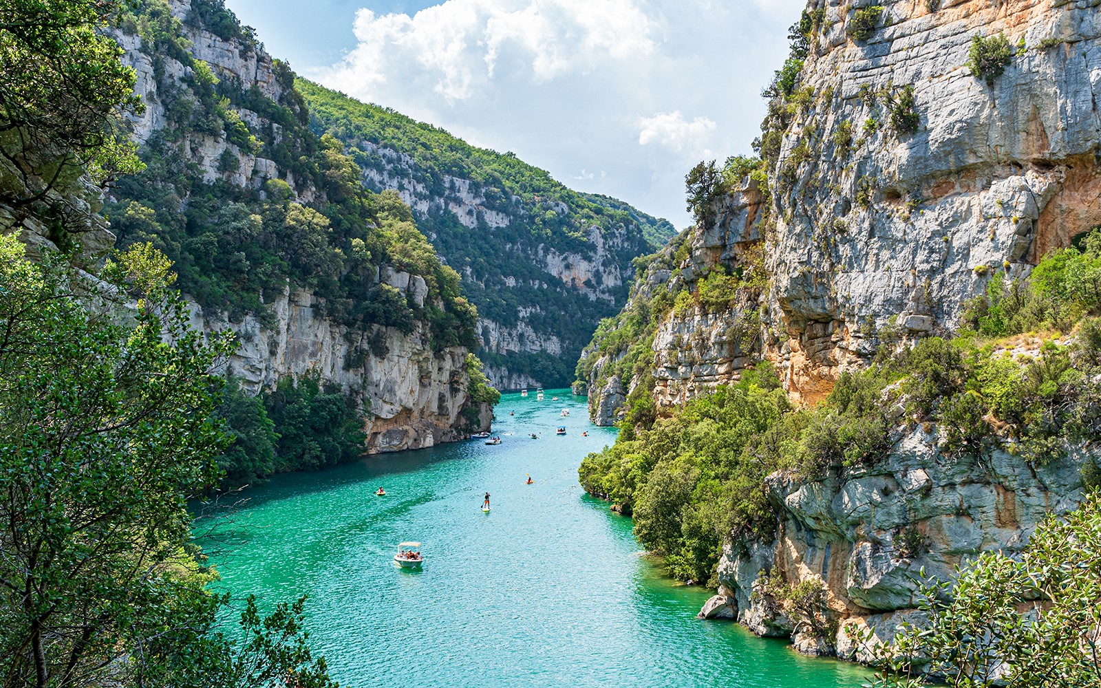 From Nice: Provence’s Lavender & Verdon Gorges Day Tour