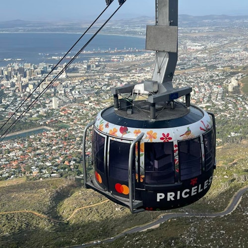 Table Mountain & Cape Point: Small-Group Tour — gallery 4