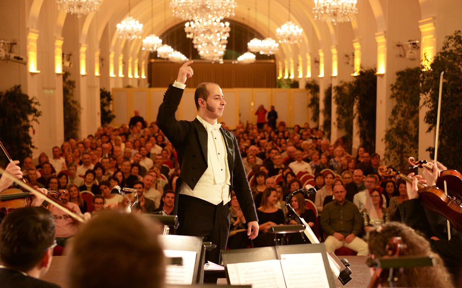 Schönbrunn Palace: Mozart & Strauss Concert with 3-Course Dinner — gallery 2