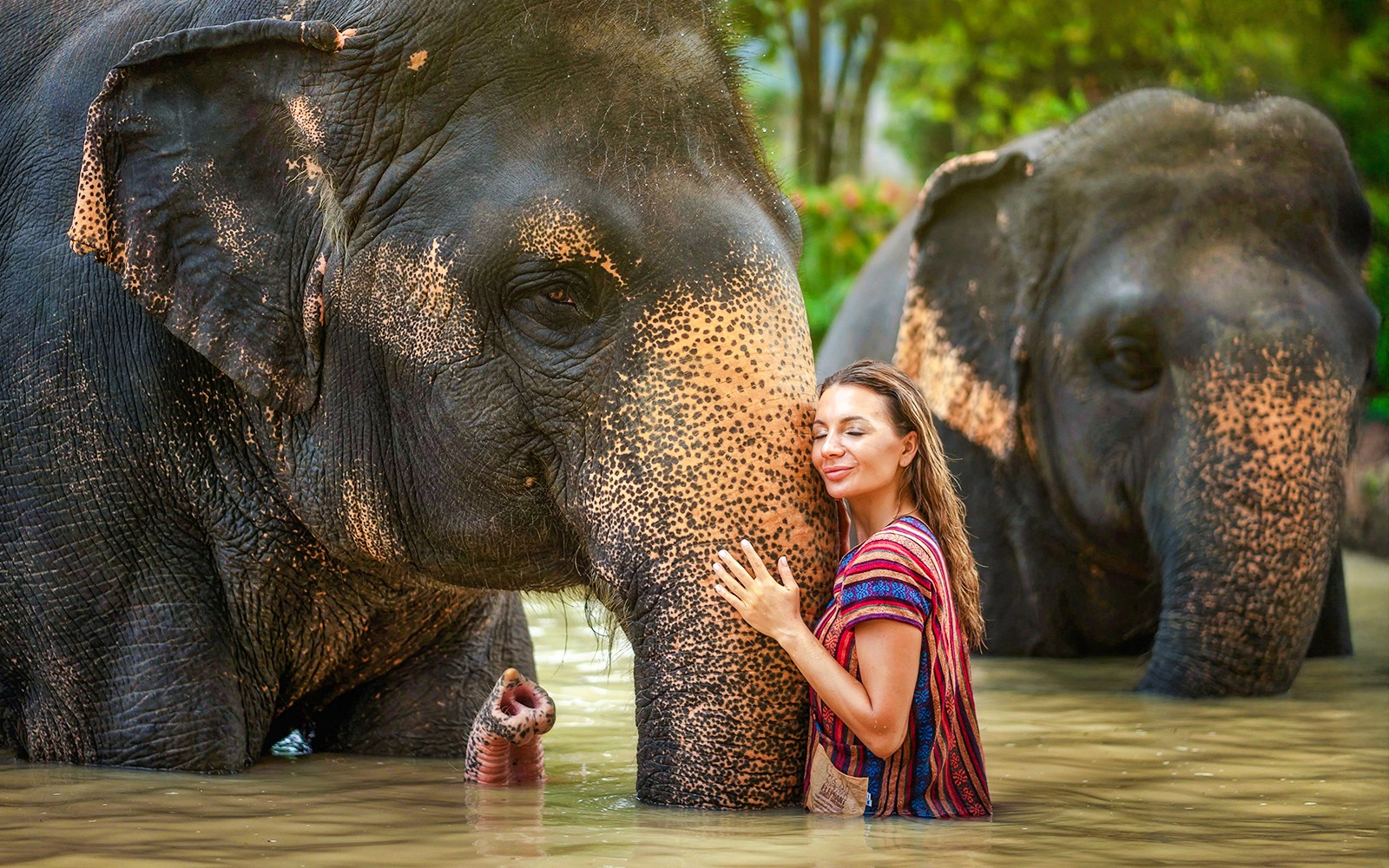 Phuket Elephant Jungle Sanctuary: Feed, Shower & Mud Spa Guided Tours with Optional Transfers