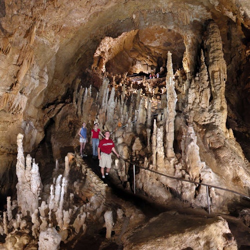Twisted Trails at Natural Bridge Caverns: Entry Ticket — gallery 1