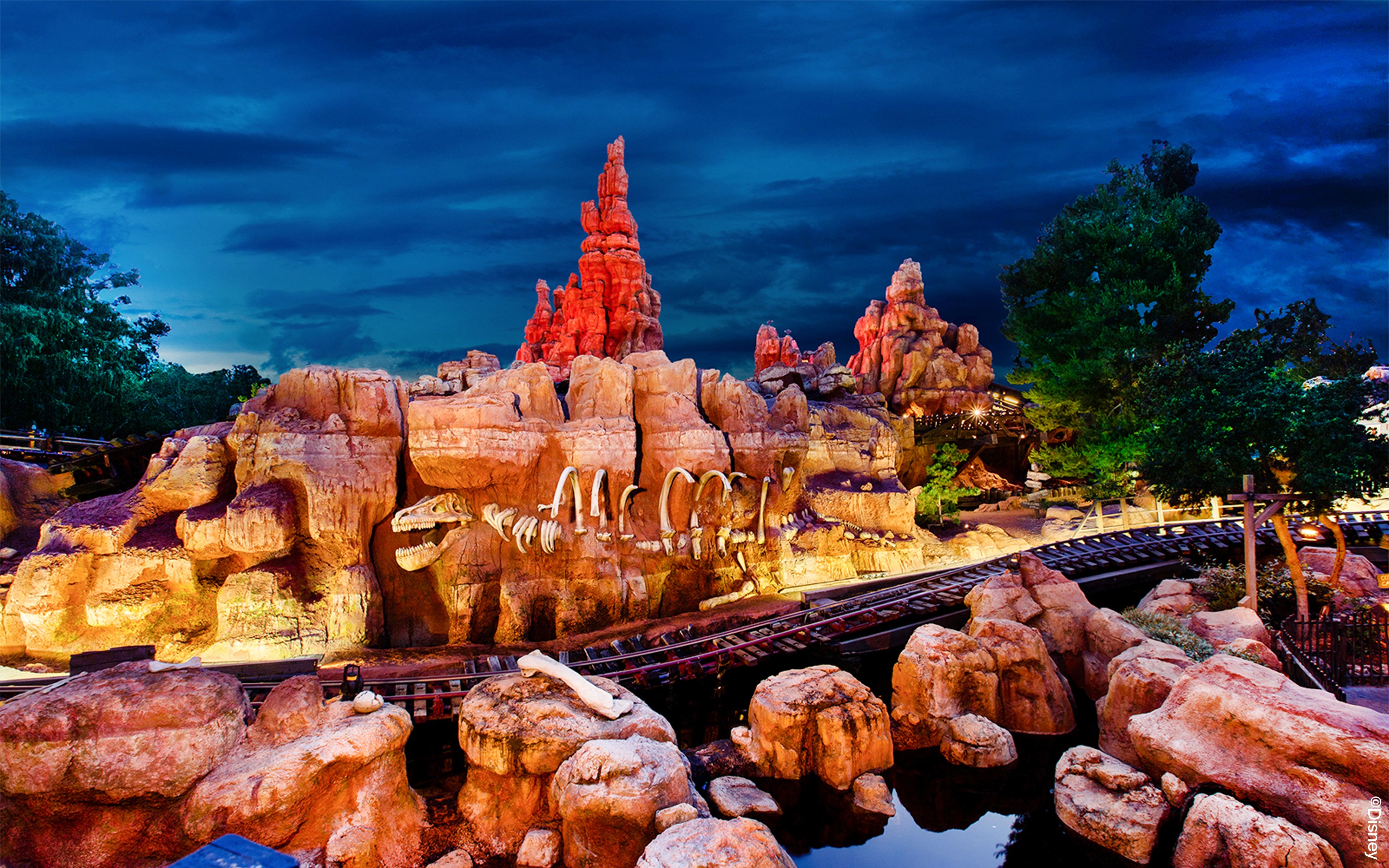 Disneyland California 1-Day Tickets