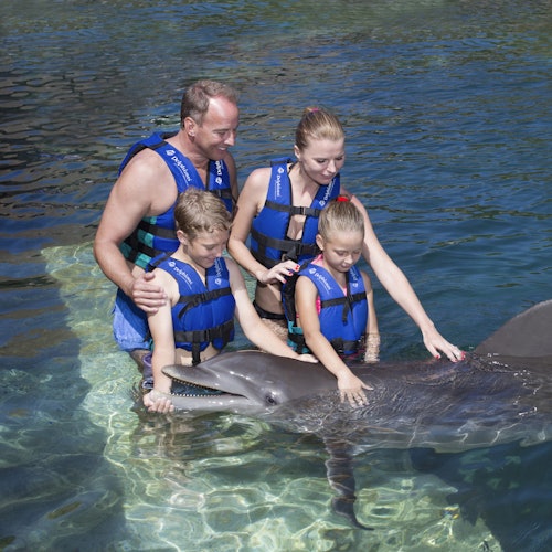 Delphinus Xcaret: Entry Ticket + Transfers + Swim with Dolphins — gallery 1