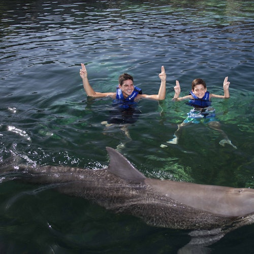 Delphinus Xcaret: Swim with Dolphins