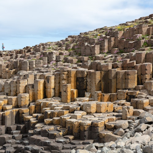 Giant's Causeway: Tour by Coach with Admission to Attractions — portrait