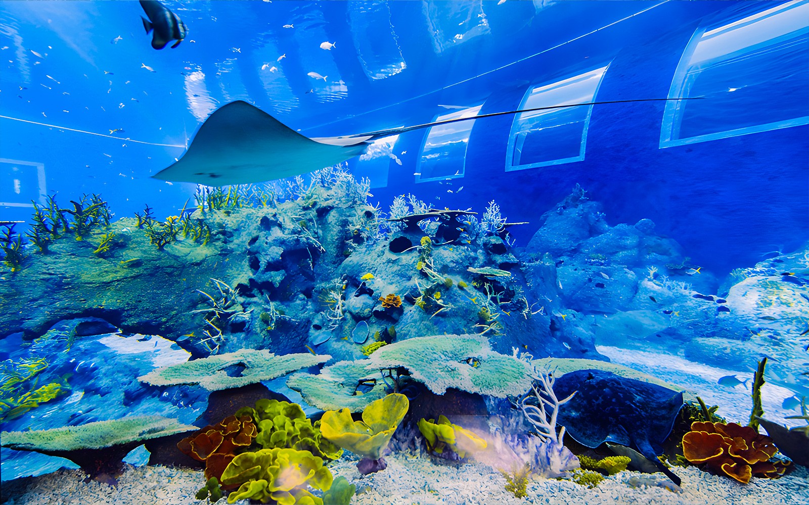 Singapore Oceanarium Tickets — gallery 3