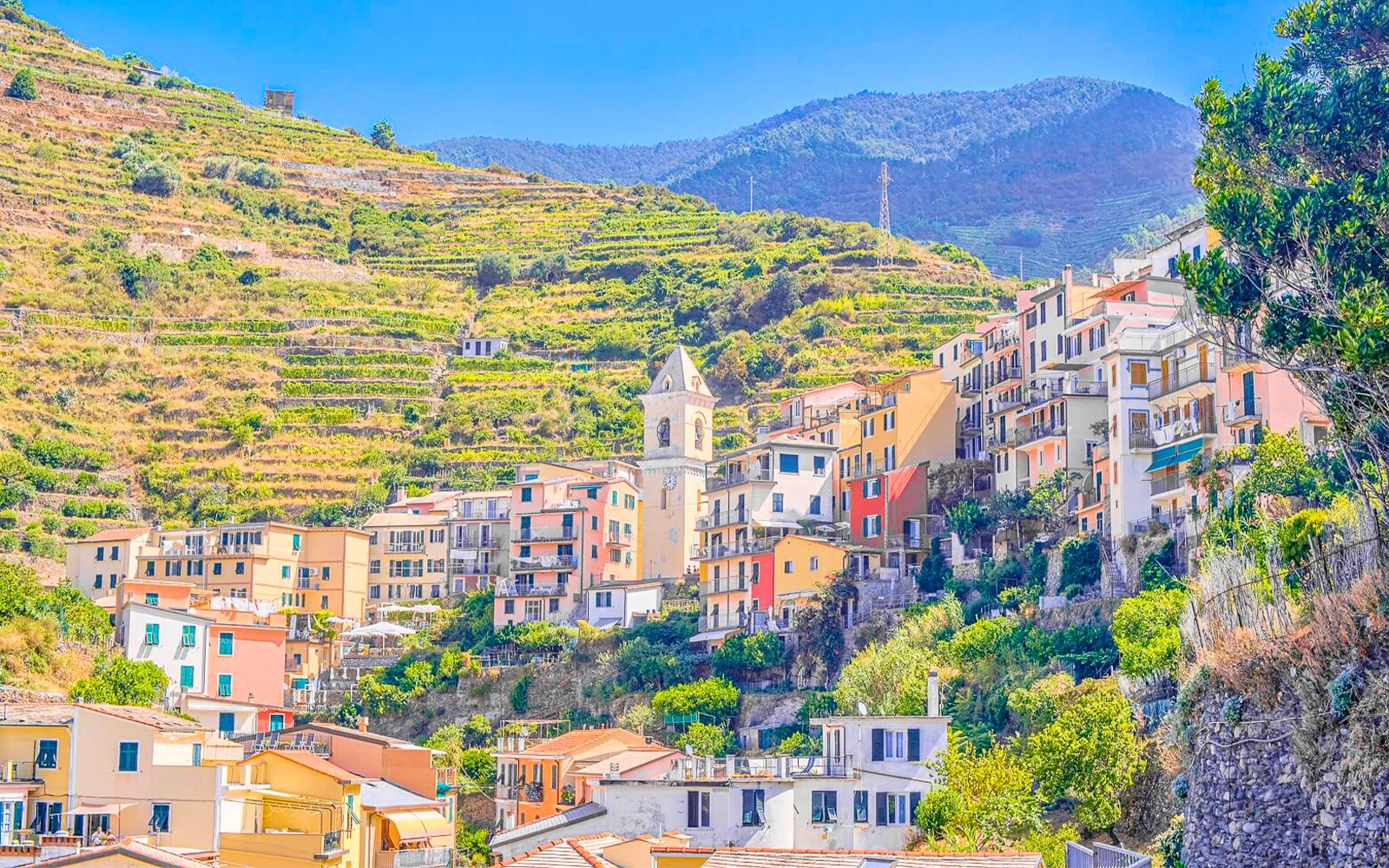 From Florence: Cinque Terre Guided Tour