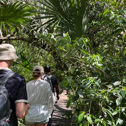 Sian Ka'an Biosphere Reserve & Muyil Ruins: Guided Tour + Boat Ride + Transfer — gallery 2