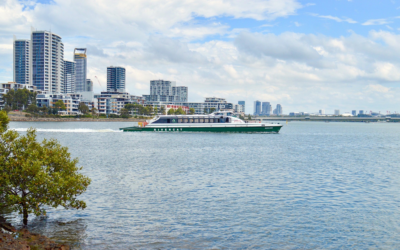 Blue Mountains Tour: Scenic World, Featherdale Wildlife Park & Harbour Ferry Return