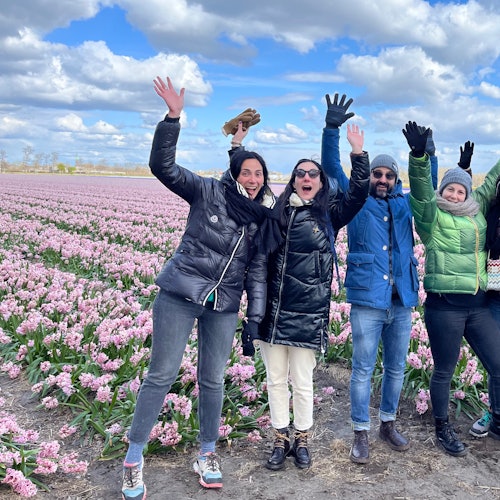 Amsterdam: Small Group Tulip Fields Bike Tour — gallery 2