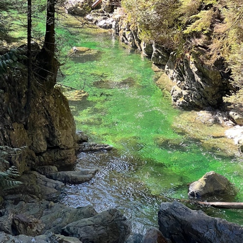 Vancouver: Guided Rainforest Hike with Waterfalls & Suspension Bridge + Transfer — gallery 1