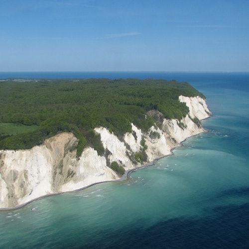 Møns Klint & Forest Tower: Day Trip from Copenhagen — gallery 1
