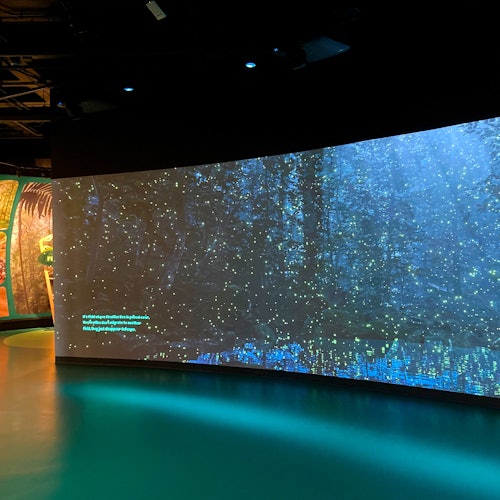 Audubon Aquarium & Insectarium: Combo Entry Ticket
