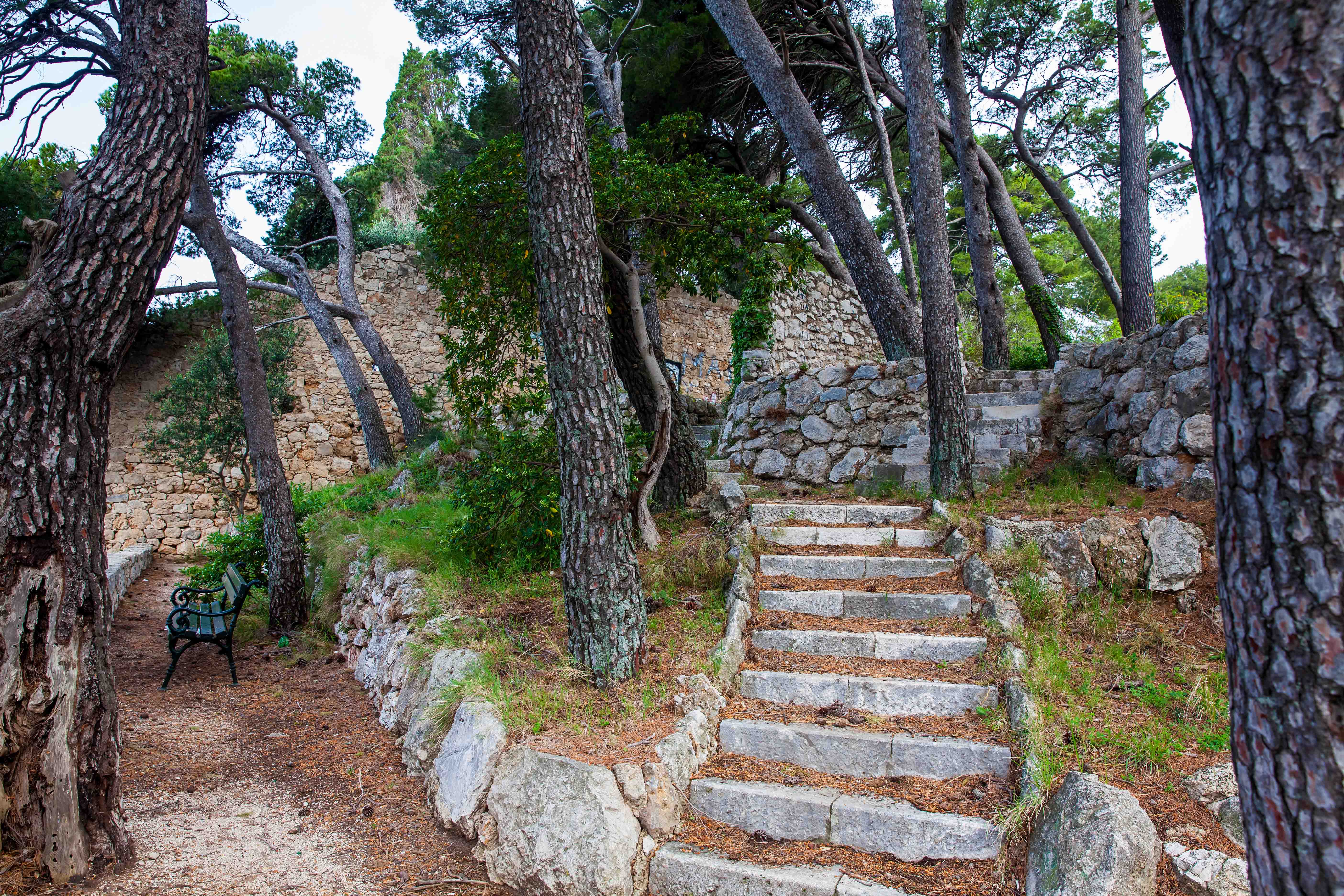Dubrovnik: Game of Thrones Cruise with Cocktail & Old Town Walking Tour — gallery 5
