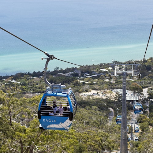 Mornington Peninsula: Day Tour + Gondola Ride + Lunch + Wine & Chocolate Tasting — gallery 1