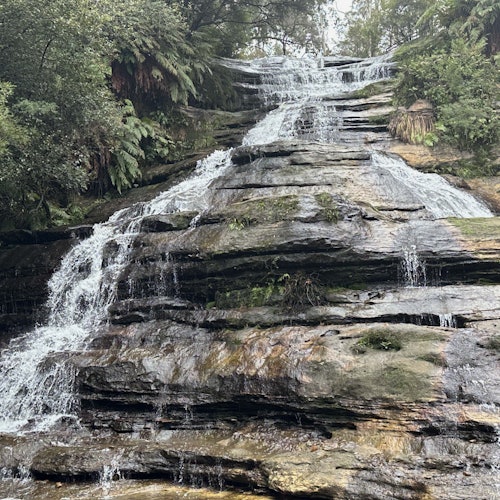 Blue Mountains: Scenic World Entry Ticket + Harbour Cruise from Sydney — gallery 1
