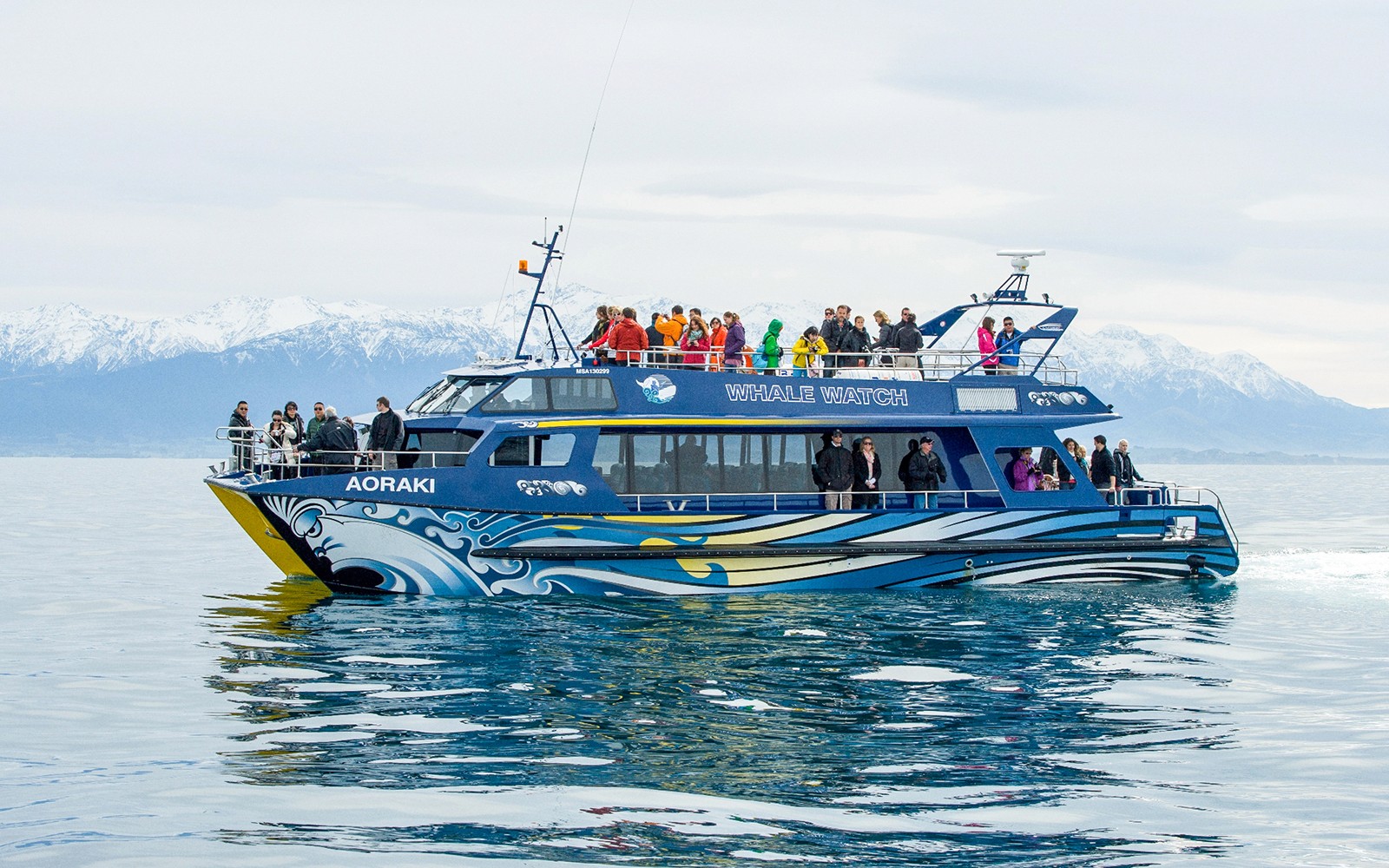From Christchurch: Kaikoura Whale Watch Day Trip with Round-Trip Transfers