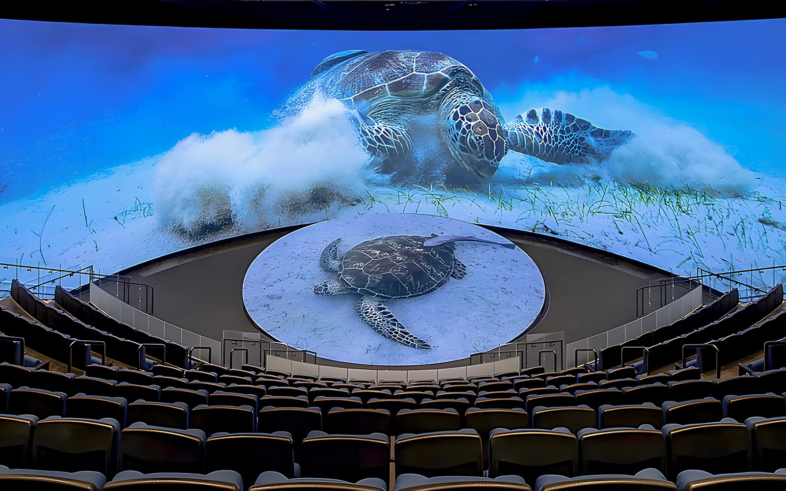 Aquarium of the Pacific Skip-the-Line Tickets