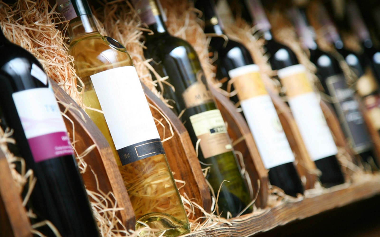 Chianti Region Guided Tour with Local Tastings and Vineyards — gallery 5