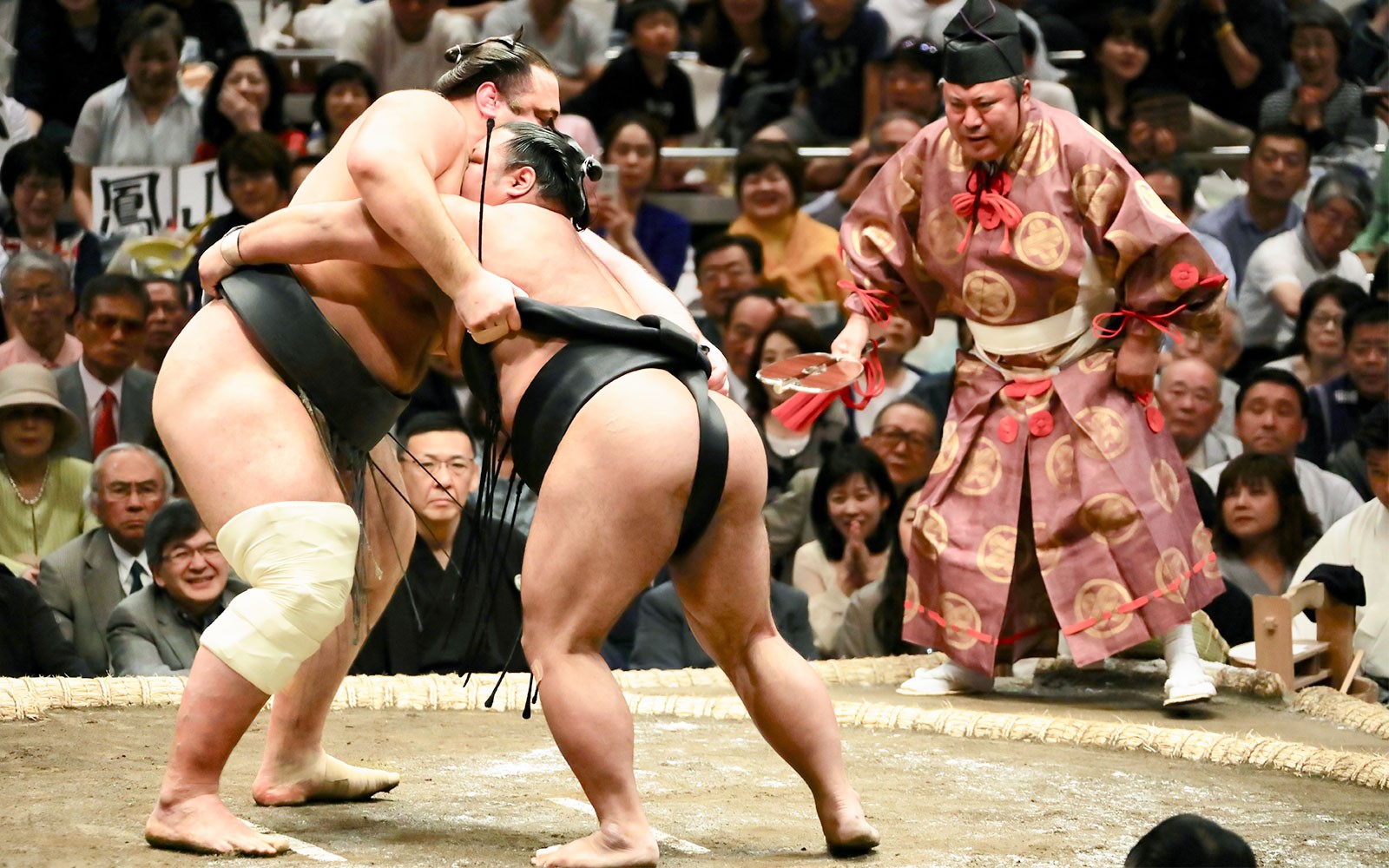 Fukuoka Sumo Tournament LIVE: Reserved Tickets & Private Guide at Fukuoka Kokusai Center (November)