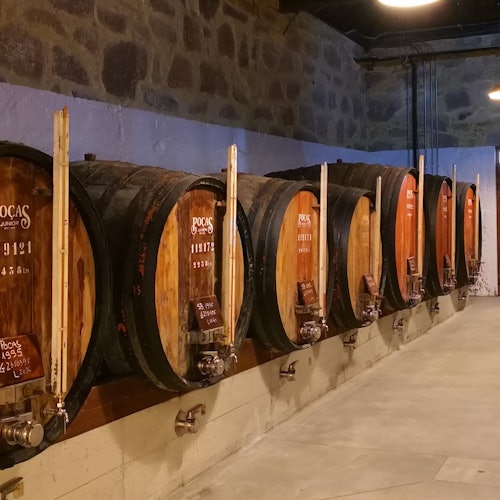 Caves Poças: Guided Tour + Port Wine Tasting with Pastel de Nata