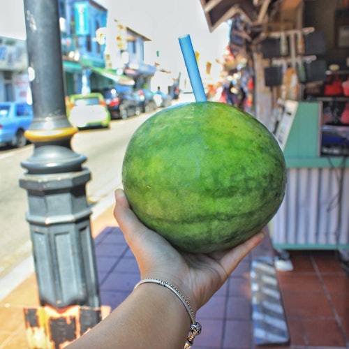 Historical Malacca Tour with Lunch from Kuala Lumpur — gallery 3