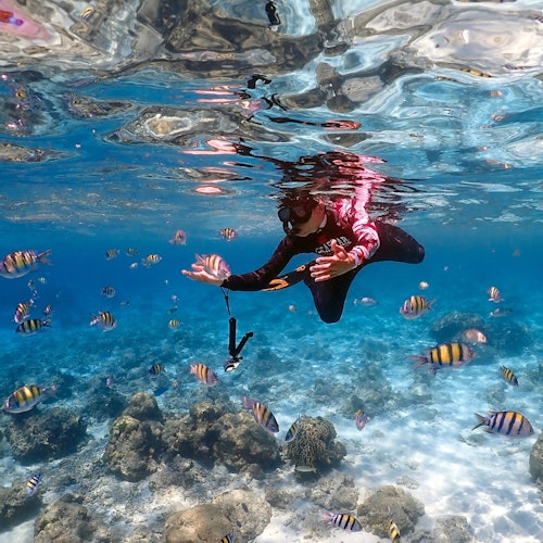 Koh Racha Noi & Koh Racha Yai: Guided Speedboat Tour + Transfer + Lunch — gallery 3