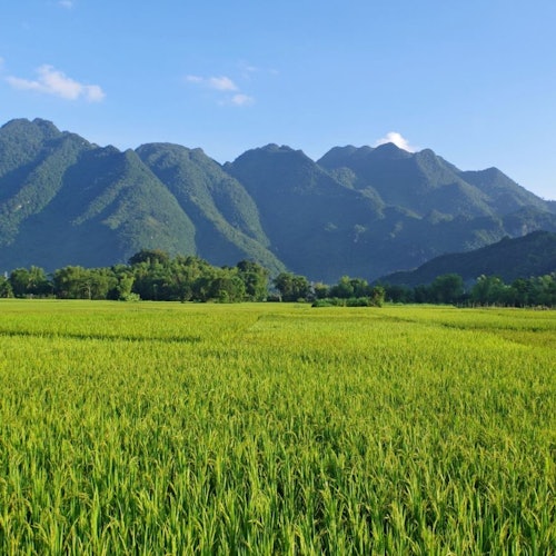 Mai Chau: Full-Day Guided Trip from Hanoi + Lunch — gallery 1