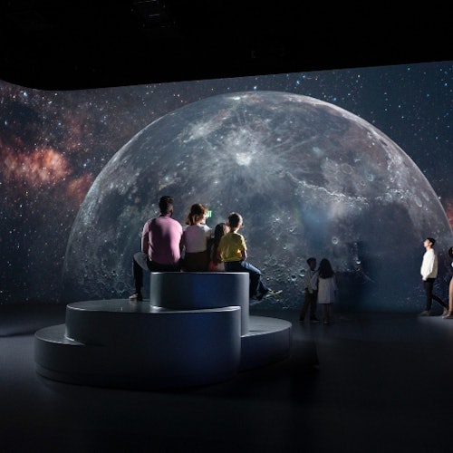 Illuminarium Atlanta: Entry Ticket