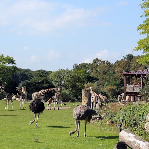 Leipzig Zoo + Travel Card "Leipzig (Zone 110)" — gallery 3