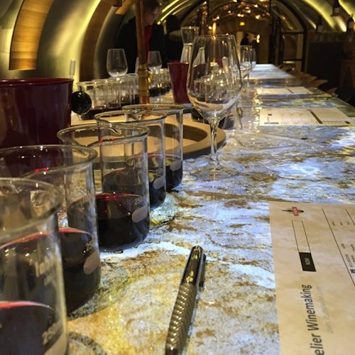 Les Caves du Louvre: Guided Winemaking Workshop — gallery 1