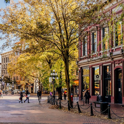 Vancouver: Guided Bus Tour, Lookout Tower Entry & Stanley Park Walking Tour — gallery 1
