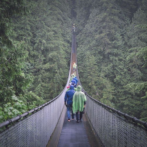 Grouse Mountain & Capilano Suspension Bridge Park: Guided Tour — gallery 1