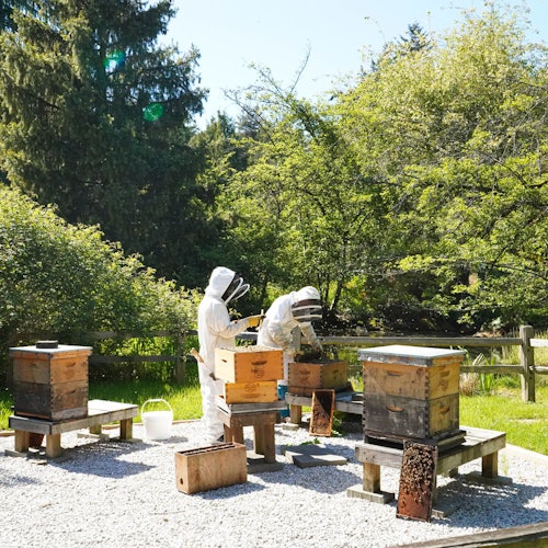 VanDusen Botanical Garden: Entry Ticket — gallery 1