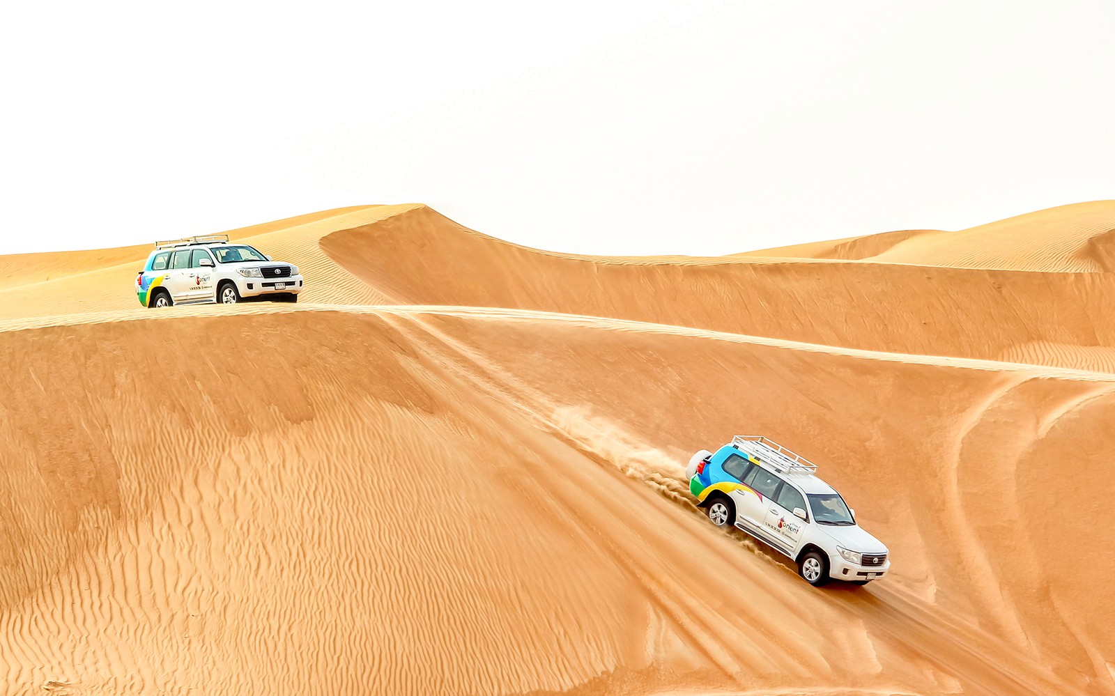 Desert Wonder: Evening Safari, Camel Farm Visit & BBQ Dinner — gallery 4