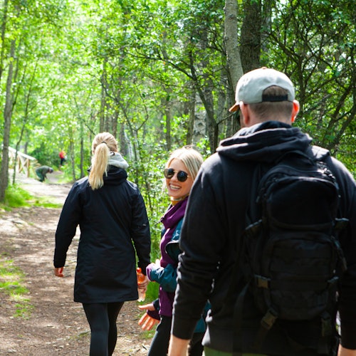 Helsinki: Magical Taiga Forest Hike — gallery 3