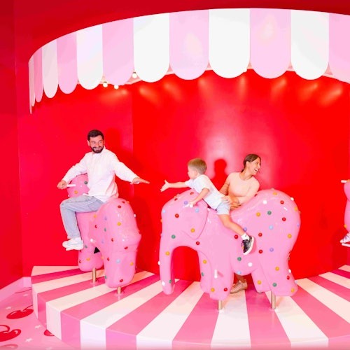 Museum of Ice Cream Miami: Entry Ticket