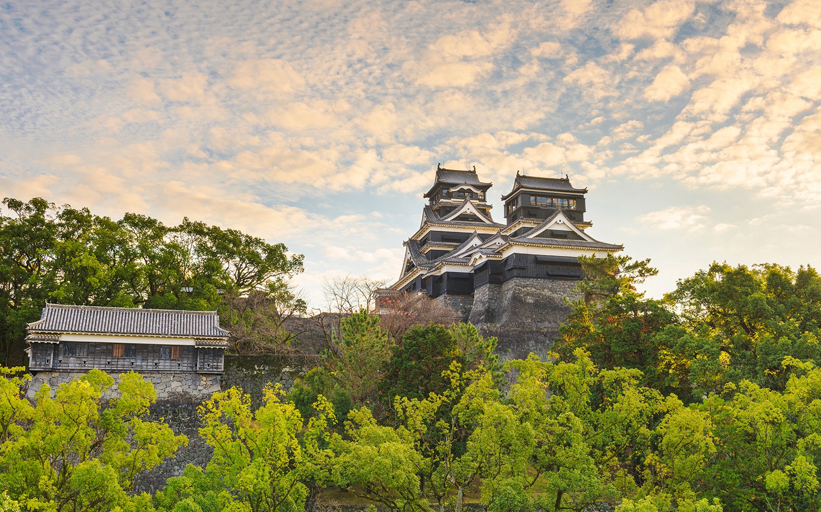 Southern Kyushu Area Pass — gallery 1
